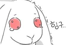 (수정재업)연우혜성 첫인상이랑 현인상