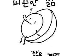 열두 번째 낙서