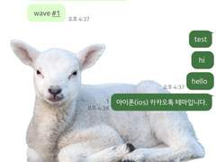 4. inmymay_Sheep 카톡 테마 (아이폰)-기간무료공유