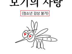 모기의 사랑