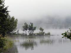 고요함과 평온함