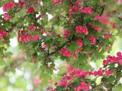 문제 없는 결정