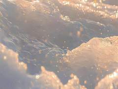 청춘이라는 이름으로