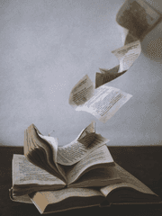 팬픽과 멤버의 상관관계