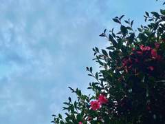 우리는 살아남을 것이다.