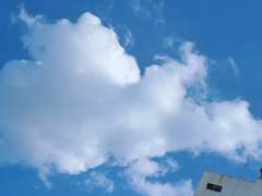 퇴그..ㄴ...ㄱ..ㅣ..ㄹ?