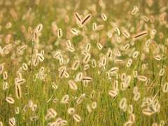 자신의 결정이 약자를 위한 것이라면