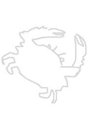 [파판] 어부일기 대장정