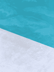 슬램덩크, 우성명헌