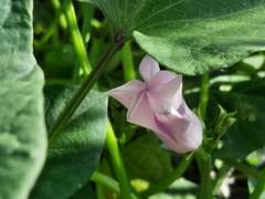 처음 만난 남자에게 OO 갖다 바친 여자