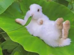 어이 데망궁 시간있어?