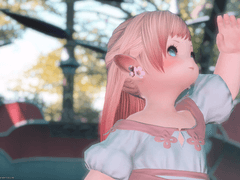 파판14캐 통합 요약글