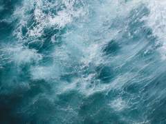 그대 거친 파도 속에서도 흔들림 없는 섬이라