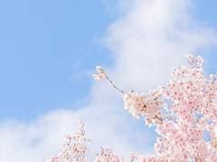 첫사랑 훈련 기록