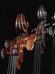 [프리드리히 인문철학총서] 17. 깊은 잠을 위한 즐거운 지식