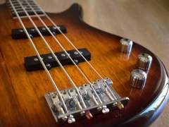 세계 베이시스트 안아주기의 날