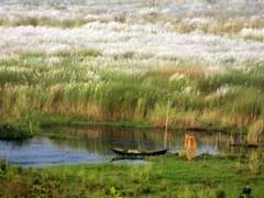 본래 [나]를 회복하는 일