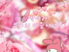 반짝여라, 우리들의 마음이여!