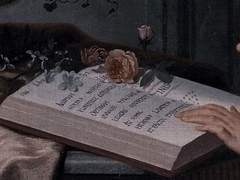 과잉기억증후군