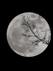 상처가 많은 나라서