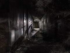 [ 닌자고 ] 내 인생의 전부가 없어졌다.