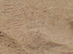 부서진 유리성이 아닌 무너진 모래성이 되길