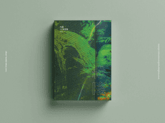 14. 녹음, 그 찬란함