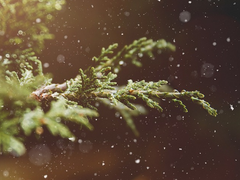 [원겸/규겸] Moon+light 上