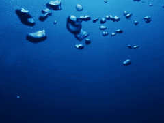 밤하늘의 지도를 따라서