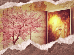 ■과 함께 빛나고 싶었던ㅡ.