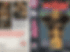 [비디오 표지] 암흑가의 결투