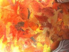 [10/8~10/14] 낙엽 by B