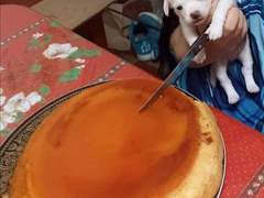 김여주! 엔시티로 출근했습니다~ 트윗모음