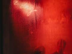 높은 거처의 주인