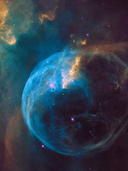 그 후의 이야기