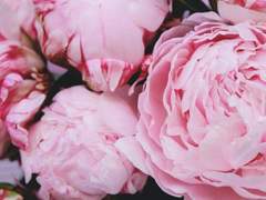 너에게 내가 하는 말