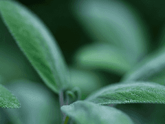 [겸권] 다향中 - 1