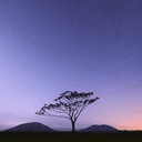 아니근데허티가먼저