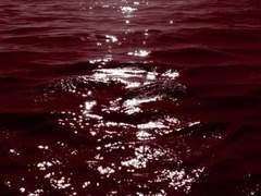 세연다온 Episode {Sad Ending}