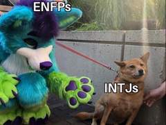 사랑은 아마도 유사과학