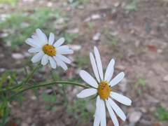 00에 남편의 공무원 합격이 달렸다