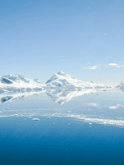 남극에서의 구조요청