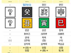 이강인_극신약은 강형욱에게 가요~