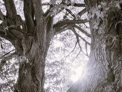 세계□□프로젝트