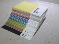 우리의 컬러는?