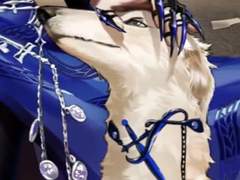 무기미도 주저리들 20231011