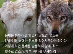 무기미도 주저리들 20231013