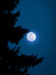 카이른 / 키드른 썰 모음