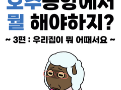 호주공항에서 뭘 해야하지?-3