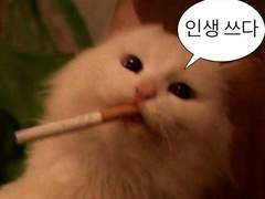 2. 데이트 추천 후카바편